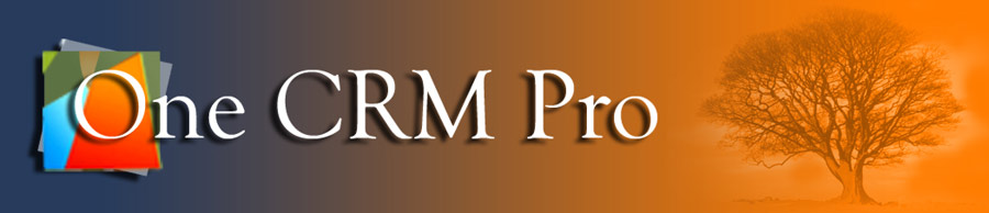 One CRM Pro Header